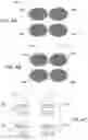 Fig. 05 - Symbol grouping and striping for wide field matrix laser marking