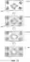 Fig. 09 - Printing apparatus