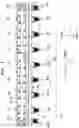 Fig. 10 - Image recording apparatus