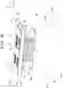 Fig. 11 - PRINTING SYSTEM, WORK SUPPORT APPARATUS, AND METHOD