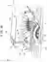 Fig. 21 - PRINTING SYSTEM, WORK SUPPORT APPARATUS, AND METHOD