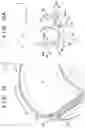 Fig. 11 - PRINTING APPARATUS, CLEANING DEVICE, AND PRINTING METHOD