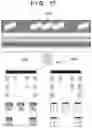 Fig. 18 - Printing apparatus and correction method therefor