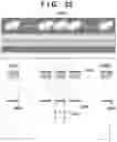 Fig. 26 - Printing apparatus and correction method therefor