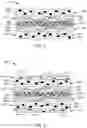 Fig. 03 - Fabric print media