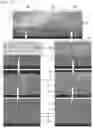 Fig. 06 - Method for manufacturing a decorative part
