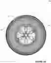 Fig. 08 - TIRE WITH AUDIBLE FUNCTIONALITY
