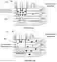 Fig. 26 - System and method for vehicle stabilization