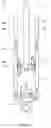 Fig. 12 - Vehicle shock absorber