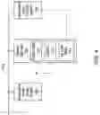 Fig. 05 - Power distribution system for vehicle lighting