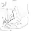 Fig. 12 - Vehicle front portion structure