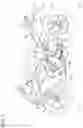 Fig. 02 - Assembling structure of engine and vehicle