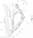 Fig. 02 - Fastening structure for vehicle