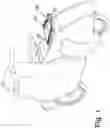 Fig. 02 - System for fixing and transporting storage bags for motorcycles