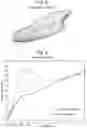 Fig. 06 - Powerboat