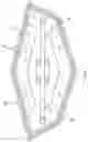 Fig. 06 - Collapsible kayak