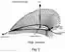 Fig. 04 - Straightening effect sail