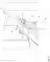 Fig. 05 - Method of removal and replacement of a tip section of a rotor blade