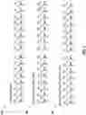 Fig. 03 - Varying quantities of motor poles for noise reduction