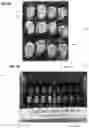 Fig. 10 - METHOD AND SYSTEM FOR PACKAGING AND TRANSPORTING FROZEN OYSTERS ON THE HALF SHELL