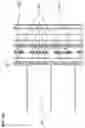 Fig. 17 - Conveying systems and methods of use