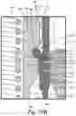 Fig. 28 - Fluid management system and fluid dispenser
