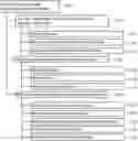 Fig. 01 - Backside reinforcement structure design for mirror flatness