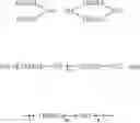 Fig. 43 - Extended absorbance solar leaf and methods of making