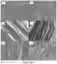Fig. 04 - METHODS FOR PRODUCING CARBON MATERIAL-GRAPHENE COMPOSITE FILMS