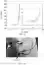 Fig. 10 - METHODS FOR PRODUCING CARBON MATERIAL-GRAPHENE COMPOSITE FILMS