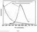Fig. 03 - METHOD FOR PREPARING GRAPHENE OXIDE QUANTUM DOTS IN A LARGE SCALE WITH CRYPTOCRYSTALLINE GRAPHITE