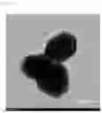 Fig. 02 - Silica aerogel-including blanket and method for preparing the same