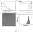 Fig. 09 - Substances containing AuCs and preparation method and use thereof