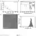 Fig. 10 - Substances containing AuCs and preparation method and use thereof