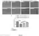 Fig. 21 - Substances containing AuCs and preparation method and use thereof