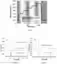 Fig. 03 - Redox-active oxide materials for thermal energy storage