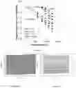 Fig. 10 - Redox-active oxide materials for thermal energy storage