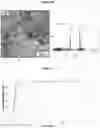 Fig. 10 - Random copolymers derived from itaconic acid and/or its isomers and sodium alkenyl sulfonates and use of the product thereof