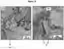 Fig. 11 - Random copolymers derived from itaconic acid and/or its isomers and sodium alkenyl sulfonates and use of the product thereof
