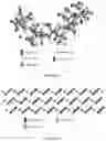 Fig. 12 - Random copolymers derived from itaconic acid and/or its isomers and sodium alkenyl sulfonates and use of the product thereof