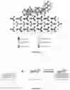 Fig. 16 - Random copolymers derived from itaconic acid and/or its isomers and sodium alkenyl sulfonates and use of the product thereof