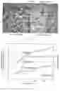 Fig. 02 - Biomass selection and control for continuous flow granular/flocculent activated sludge processes
