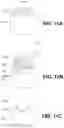 Fig. 13 - Patterning of high refractive index glasses by plasma etching
