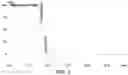 Fig. 04 - Urea condensation compositions and methods of making the same