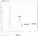 Fig. 05 - Urea condensation compositions and methods of making the same