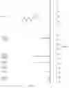 Fig. 09 - PREPARATION METHOD FOR CONJUGATED DIENE COMPOUND