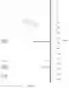 Fig. 15 - PREPARATION METHOD FOR CONJUGATED DIENE COMPOUND