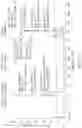 Fig. 20 - CRYSTALLINE DIACYLHYDRAZINE AND THE USE THEREOF