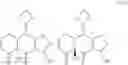 Fig. 161 - Tetracycline compounds