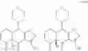 Fig. 173 - Tetracycline compounds